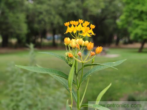 無(wú)數(shù)的拍攝，只為成就一個(gè)完美回憶