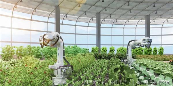 智慧農(nóng)業(yè)大有可為，“數(shù)字種地”更輕松